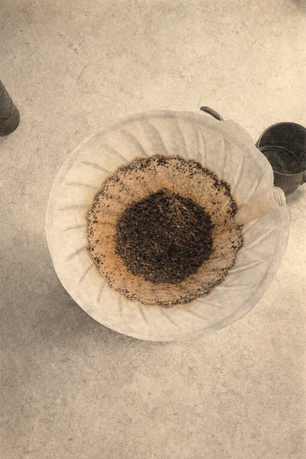 Post-brew bed showing central mound and perimeter high-water mark